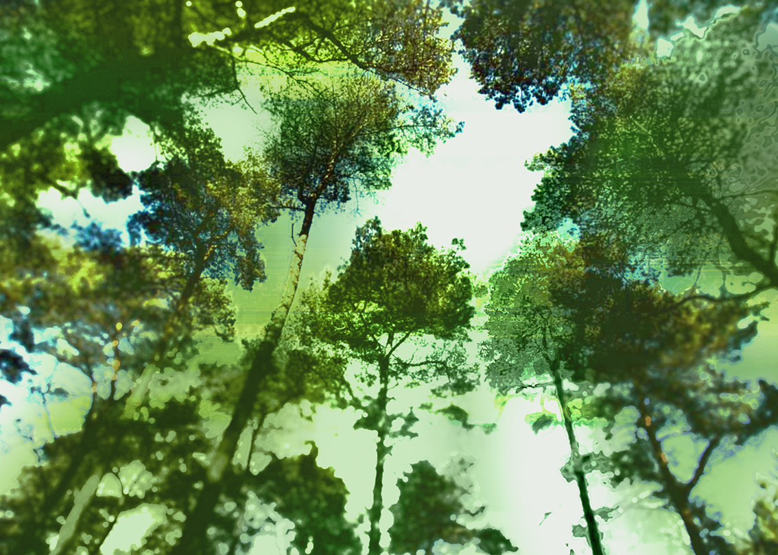 Gemeente Peel en Maas - Totaalprojecten