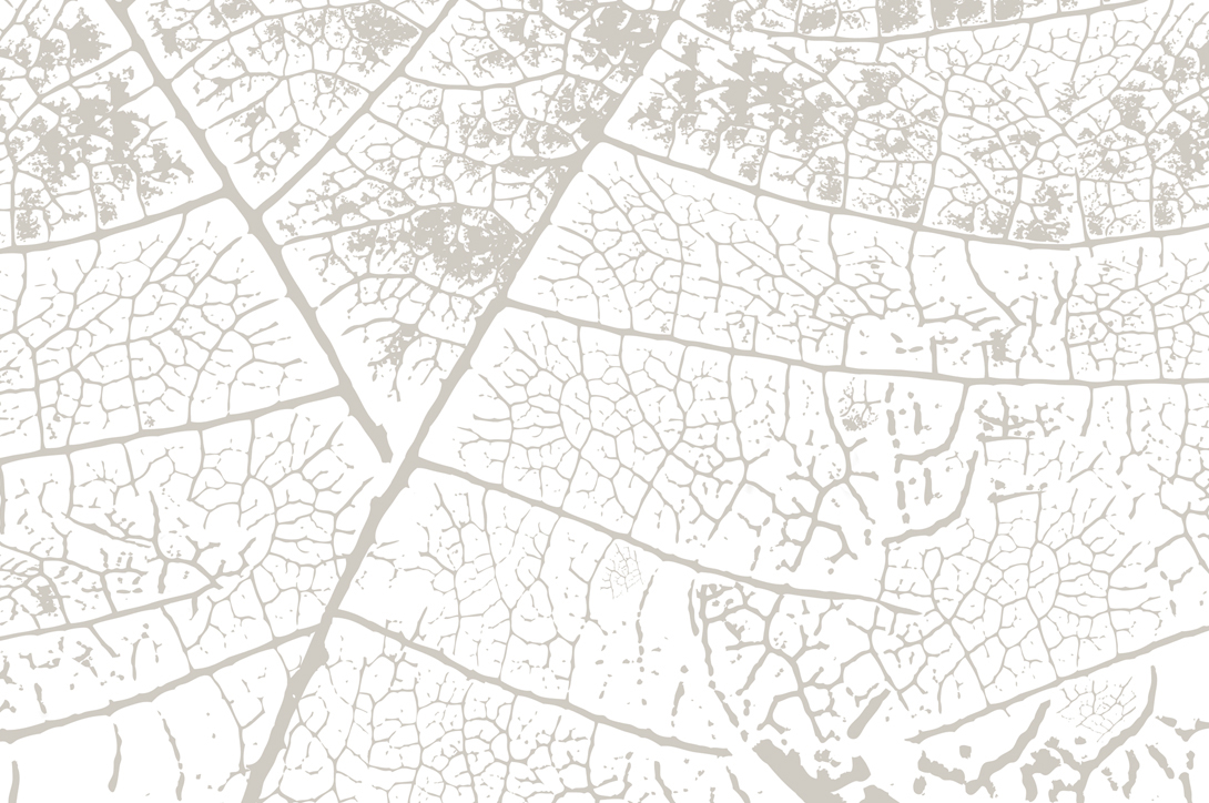 Wandbekleding ‘Puur Rucphen’ - Prints voor interieur