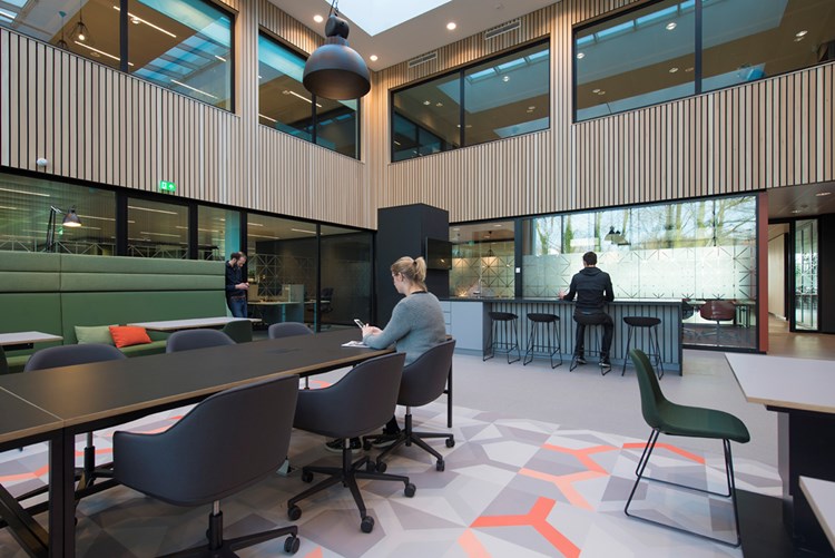 Enexis Zwolle - wandbekleding - studio jan