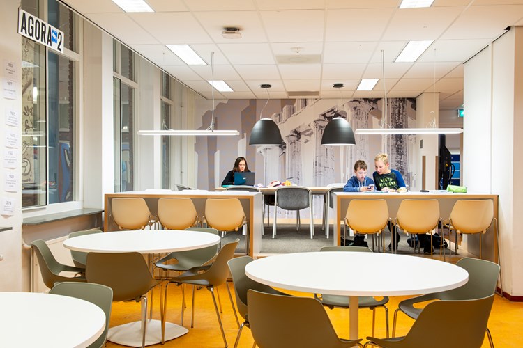 Gymnasium Novum, Voorburg - wandbekleding - studio jan